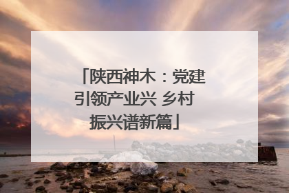 陕西神木：党建引领产业兴 乡村振兴谱新篇