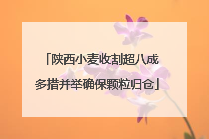 陕西小麦收割超八成 多措并举确保颗粒归仓