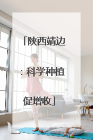 陕西靖边：科学种植促增收