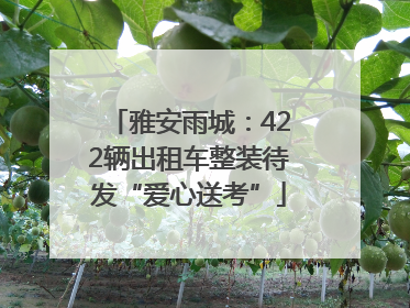 雅安雨城：422辆出租车整装待发“爱心送考”