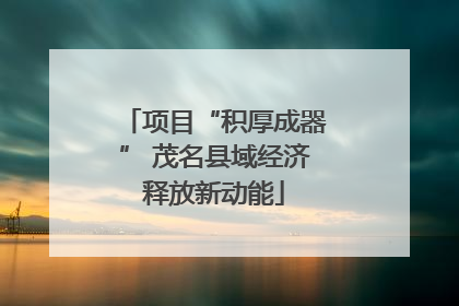项目“积厚成器” 茂名县域经济释放新动能