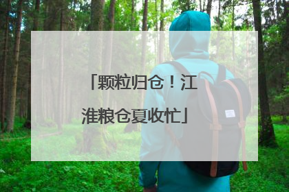 颗粒归仓！江淮粮仓夏收忙