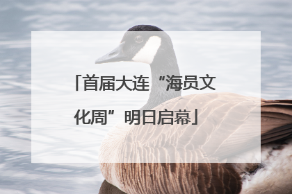 首届大连“海员文化周”明日启幕