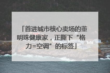 首进城市核心卖场的董明珠健康家，正撕下“格力=空调”的标签