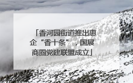 香河园街道推出惠企“香十条”，国展商圈党建联盟成立