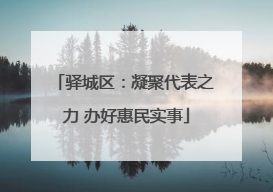 驿城区：凝聚代表之力 办好惠民实事