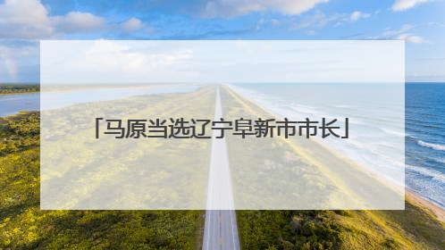 马原当选辽宁阜新市市长