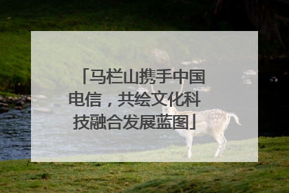 马栏山携手中国电信，共绘文化科技融合发展蓝图
