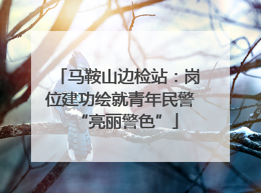 马鞍山边检站：岗位建功绘就青年民警“亮丽警色”