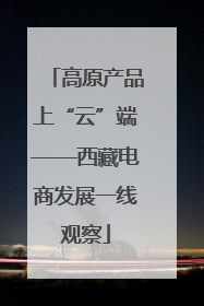 高原产品上“云”端——西藏电商发展一线观察
