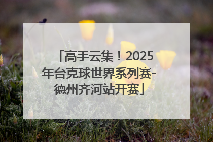 高手云集！2025年台克球世界系列赛-德州齐河站开赛