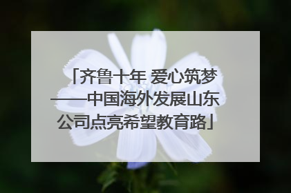 齐鲁十年 爱心筑梦——中国海外发展山东公司点亮希望教育路