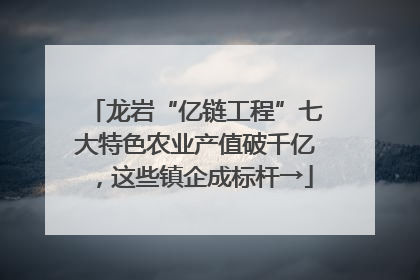 龙岩“亿链工程”七大特色农业产值破千亿，这些镇企成标杆→