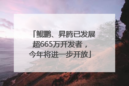 鲲鹏、昇腾已发展超665万开发者，今年将进一步开放