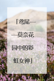 鸢尾——莫奈花园中的彩虹女神