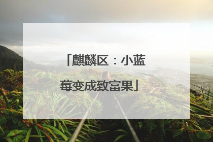 麒麟区：小蓝莓变成致富果