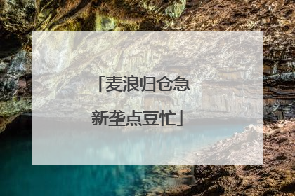 麦浪归仓急 新垄点豆忙
