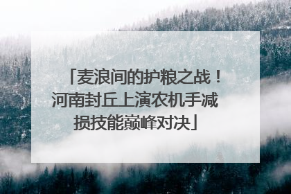 麦浪间的护粮之战！河南封丘上演农机手减损技能巅峰对决