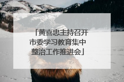 黄喜忠主持召开市委学习教育集中整治工作推进会