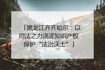 黑龙江齐齐哈尔：以司法之力浇灌知识产权保护“法治沃土”
