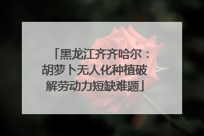 黑龙江齐齐哈尔：胡萝卜无人化种植破解劳动力短缺难题