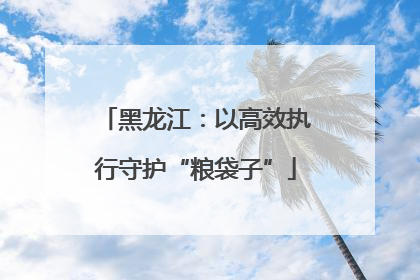 黑龙江：以高效执行守护“粮袋子”