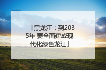 黑龙江：到2035年 要全面建成现代化绿色龙江