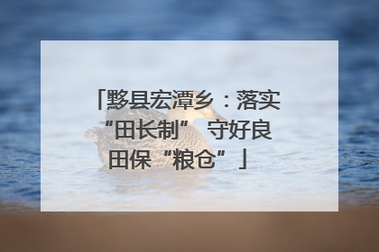 黟县宏潭乡：落实“田长制” 守好良田保“粮仓”