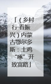 （乡村行·看振兴）内蒙古鄂尔多斯：土鸡“啄”开致富路