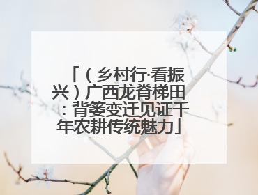（乡村行·看振兴）广西龙脊梯田：背篓变迁见证千年农耕传统魅力