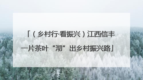 （乡村行·看振兴）江西信丰一片茶叶“沏”出乡村振兴路