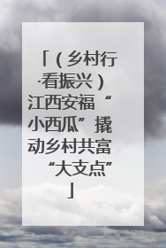 （乡村行·看振兴）江西安福“小西瓜”撬动乡村共富“大支点”