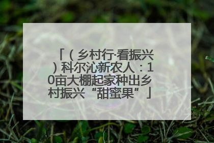 （乡村行·看振兴）科尔沁新农人：10亩大棚起家种出乡村振兴“甜蜜果”