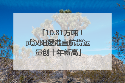 10.81万吨！武汉阳逻港直航货运量创十年新高