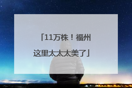 11万株！福州这里太太太美了