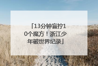 13分钟盲拧10个魔方！浙江少年破世界纪录