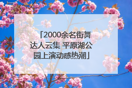 2000余名街舞达人云集 平原湖公园上演动感热潮