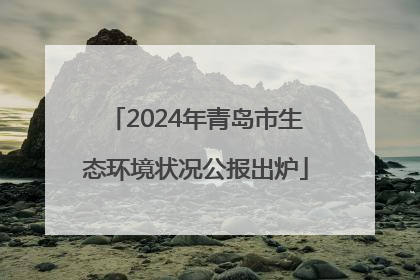 2024年青岛市生态环境状况公报出炉