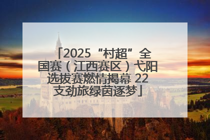 2025“村超”全国赛（江西赛区）弋阳选拔赛燃情揭幕 22支劲旅绿茵逐梦