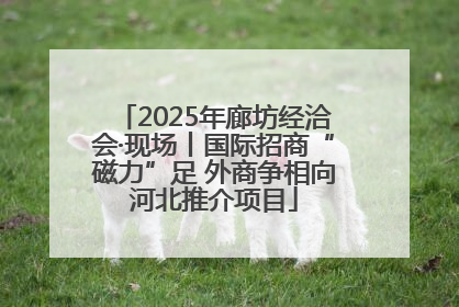 2025年廊坊经洽会·现场丨国际招商“磁力”足 外商争相向河北推介项目
