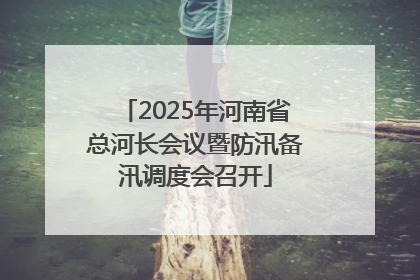 2025年河南省总河长会议暨防汛备汛调度会召开