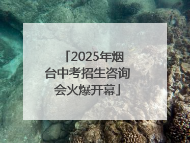 2025年烟台中考招生咨询会火爆开幕