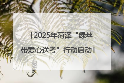 2025年菏泽“绿丝带爱心送考”行动启动