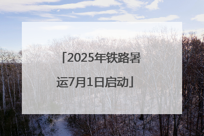 2025年铁路暑运7月1日启动