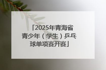 2025年青海省青少年（学生）乒乓球单项赛开赛