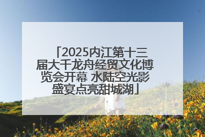 2025内江第十三届大千龙舟经贸文化博览会开幕 水陆空光影盛宴点亮甜城湖