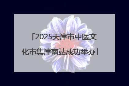 2025天津市中医文化市集津南站成功举办