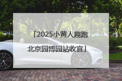2025小黄人趣跑北京园博园站收官