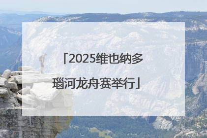 2025维也纳多瑙河龙舟赛举行