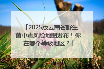 2025版云南省野生菌中毒风险地图发布！你在哪个等级地区？